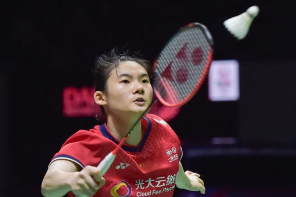 他不仅能提 他不仅能提